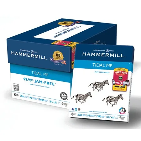Hammermill Everyday Copy and Print Paper, 92Bright, 20lb, Letter, 500 Shts/Ream, 10 Ream/CT