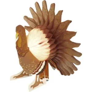 Turkey Thanksgiving Centerpiece Decoration, 13in