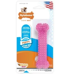 Nylabone Puppy Teething & Soothing Flexible Chew Toy Chicken Flavor X-Small/Petite - Up to 15 lbs.