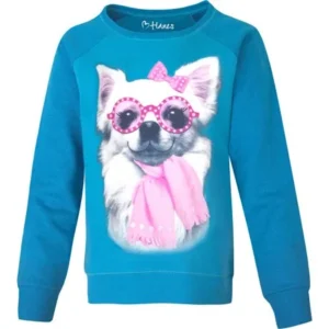 Hanes Girls' Graphic Colorblock Crewneck Sweatshirt