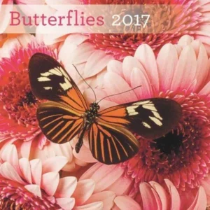 DaySpring 12" x 12" Wall Calendar Butterflies, P2