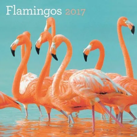 DaySpring 12" x 12" Wall Calendar Flamingos, P3