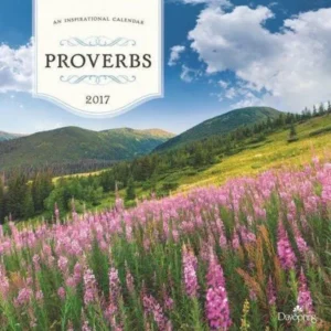 DaySpring 12" x 12" Wall Calendar Proverbs, P1