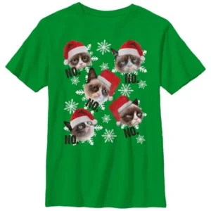 Grumpy Cat Boys' Ugly Christmas Sweater Snowflake No - Kelly Green T-Shirt