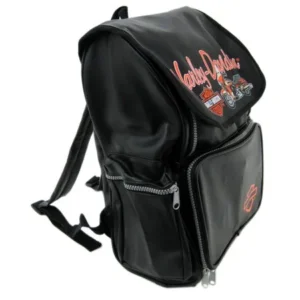 Kids Licensed Vinyl Backpack