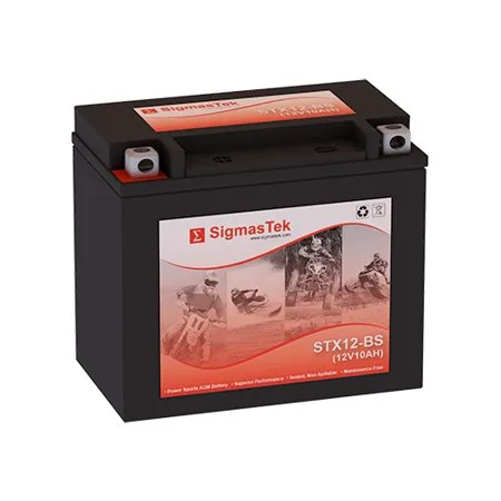 EverStart ES12BS Battery (Replacement)