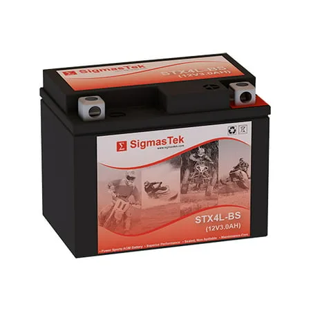 EverStart ES4LBS Battery (Replacement)