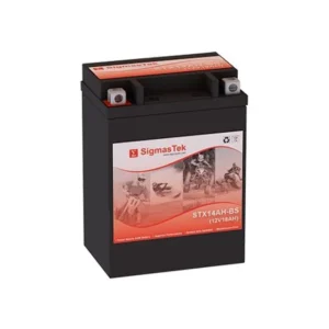 EverStart ES14AHBS Battery (Replacement)