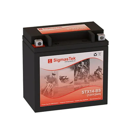 EverStart ES14BS Battery (Replacement)