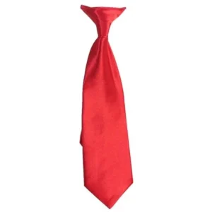 Toddler Little Boys Red Satin Clip On Formal Wear Tie 9in-15in