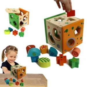 Dazzling Toys Wooden Shape Sorting Cube, Educational Toy for Children, 9 Geometric Shape Blocks, Double-Sided Assorted Color Pieces with Number / Design