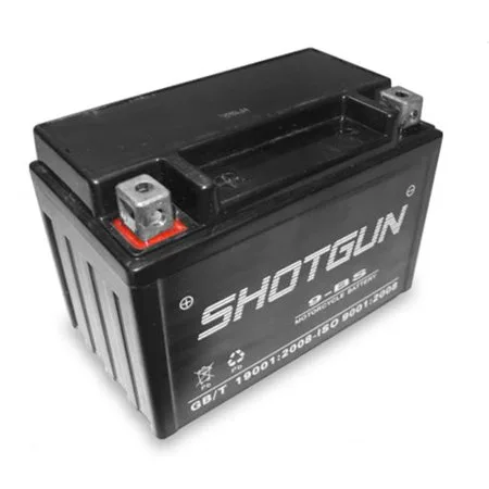 BatteryJack 9-BS-SHOTGUN-10 Shotgun Replacement for EverStart ES9BS PowerSport Battery