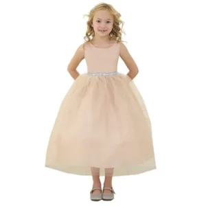 Little Girls Champagne Rhinestone Tulle Party Dress 2T-6