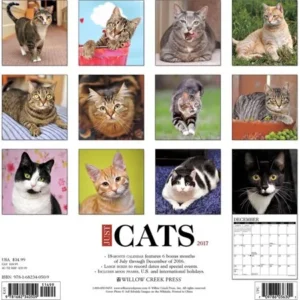 2017 Just Cats Wall Calendar
