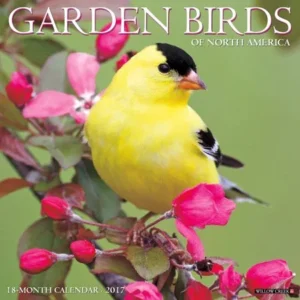 2017 Garden Birds Wall Calendar