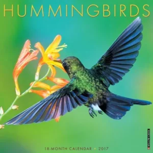 2017 Hummingbirds Wall Calendar