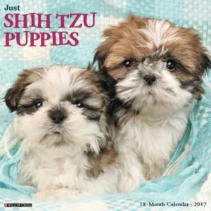 2017 Just Shih Tzu Puppies Wall Calendar