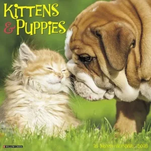 Willow Creek Press 2018 Kittens & Puppies Wall Calendar