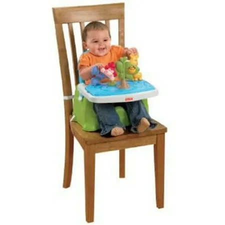 Fisher-Price Discover 'n Grow Busy Baby Booster Seat