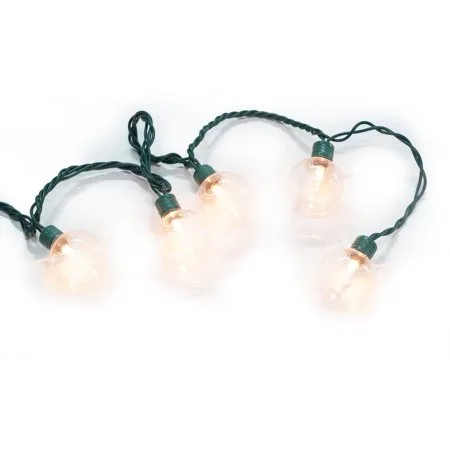 Holiday Time Pet G40 16 Function Christmas Lights Clear, 60 Count