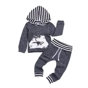 Newborn Infant Baby Boy Long Sleeve Dinosaur Hoodie Tops+Pants Sweatsuit Outfits Clothes Set