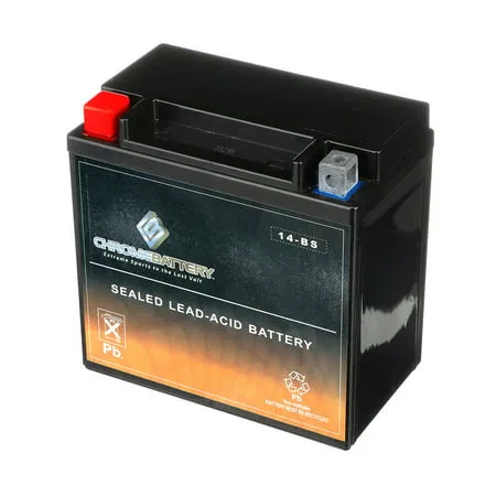 Ytx14-bs Atv Battery For Yamaha 660cc Yfm660rn, Rt, Rp, Rr, Rl, Rs Raptor 2001 Replacs Everstart Es14-bs