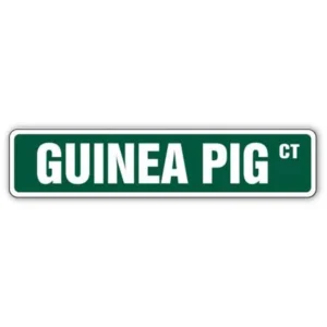 GUINEA PIG Street Sign Childrens Name Room Decal| Indoor/Outdoor