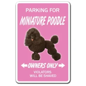 MINIATURE POODLE Novelty Sign dog pet parking signs toy gift french funny gag