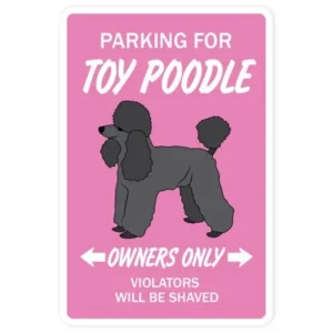 TOY POODLE novelty sticker dog pet parking Decals gift miniature groomer groom AKC