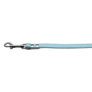 Fashionable Leather Leash Baby Blue 3/4'' Wide