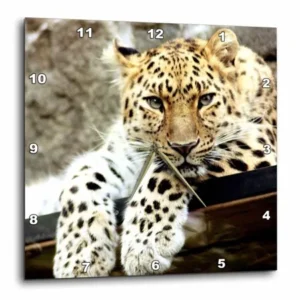 3dRose Leopard. Popular image. Best seller., Wall Clock, 10 by 10-inch