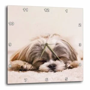 3dRose Shih Tzu. Sleeping. Best friend., Wall Clock, 15 by 15-inch