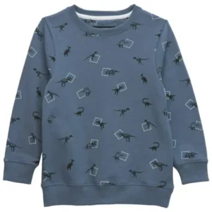 No Retreat Boys' Long Sleeve Dinosaur Print Sweatshirt