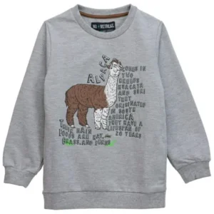 No Retreat Boys' Animal Print Graphic Sweatshirts