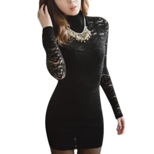 Unique Bargains Women's Mock Neck Slim Fit Long Sleeve Lace Mini Dress
