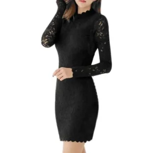 Unique Bargains Women's Floral Lace Mock Neck Long Sleeves Wiggle Dress