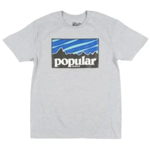 Popular Demand Name Branded T-Shirt Streetwear Grey