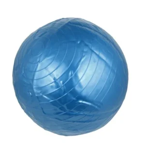 22 Dia Lady Fitness Yoga Swiss Ball Gym Aerobic Exercise