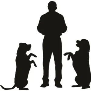 Custom Wall Decal Man Playing With Dogs Animal - Kids Boys Girls Bed Room - - Vinyl Wall Sticker : 10 X 20"