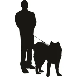 Do It Yourself Wall Decal Sticker Man Walking Dog With Leash Animal Kids Boys Girls Bed Room 14x28"