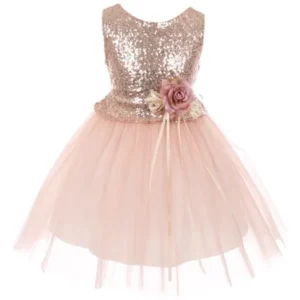 Little Girls Dress Sequins Glitter Floral Tulle Pageant Party Flower Girl Dress Blush Size 2 (K64K28)