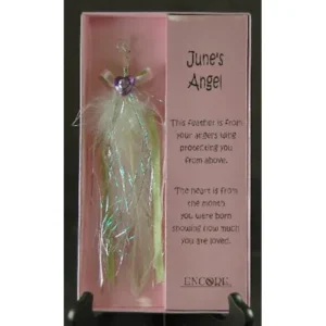 Encore An Angel's Touch Inspirational Gift Card With Feather Charm - June