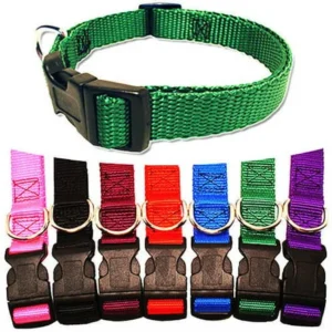 Majestic Pet 8'' - 12'' Adjustable Collar in Multiple Colors Fits Most 2-12 lbs Dogs