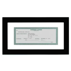 Business License Frame - Sized 3.5x8 With Mat or 5x10 Without Mat