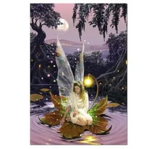 Educa Borras 500 piece puzzle - Fairy Princess