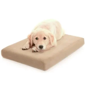 Milliard Orthopedic Memory Foam Premium Dog Bed, Medium, Beige