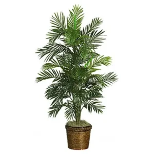 56in Areca Palm Silk Tree w/Basket
