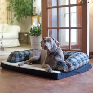 Beasleys Couch Dog Bed - Teal Pawprint Plaid