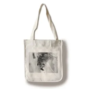 Explorer's Tent and Belongings at Camp Site Alaska Photograph (100% Cotton Tote Bag - Reusable)