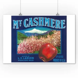 Mt. Cashmere Apple Label (9x12 Art Print, Wall Decor Travel Poster)